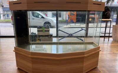 Fabrication et pose, sur mesure, d’un meuble d’Aquarium dans un magasin d’optique à Roanne