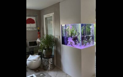 Fabrication et pose d’un meuble d’aquarium sur mesure à Colombier-Saugnieu